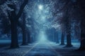 A photo capturing a dimly lit forest with a distinct bright light visible at the end of the path, Spectral tree alley bathed in Royalty Free Stock Photo