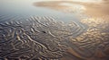 Ephemeral Patterns: Waterstained Sand Beach In Biomorphic Abstraction