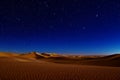 A photo capturing the night sky filled with stars shining above a vast desert landscape, A golden desert under a starry night sky