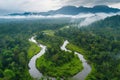 A photo capturing the sight of a river coursing through a lush green forest, creating a dynamic and natural scene, River braiding