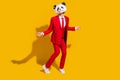 Photo of careless disco panda guy dance have fun wear mask red suit tie sneakers isolated on yellow color background Royalty Free Stock Photo