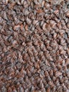 This is a photo of carpet close up, im using macro Royalty Free Stock Photo