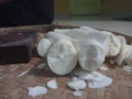 The photo of white cassava