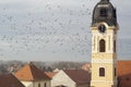 A photo of the catholic church and the birds flying around.