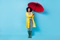 Photo of charming impressed dark skin lady dressed waterproof raincoat walking holding red umbrella isolated blue color Royalty Free Stock Photo