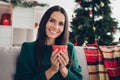 Photo of cheerful adorable pretty lady sitting house room indoors hold mug hot tasty beverage enjoying winter time cozy