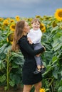 Photo of a cheerful loving mother having fun with her little child in a sunflower field Royalty Free Stock Photo