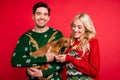 Photo of cheerful positive couple hold little cute dog wear ugly ornament pullover isolated red color background