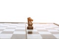 Photo of chess horse pawns on the chess board game Royalty Free Stock Photo