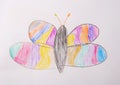 Photo of children`s drawing. Butterfly painted with colored pencils.