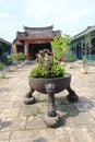 Chinese, architecture, tourism, garden, leisure, historic, site, plant, outdoor, structure, temple, flower, tree