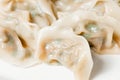 Dumplings Royalty Free Stock Photo