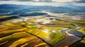 Vibrant Aerial View Of Colorful Rice Field: Max Rive Inspired Landscape