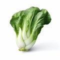 Beautiful Asian Vegetable: Bok Choy Isolated On White Background