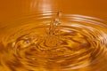 Photo of circles on the water from a fallen drop of water. Yellow, golden background. Royalty Free Stock Photo