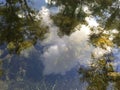 Clear reflective sky on clean forest water Royalty Free Stock Photo