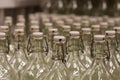 Photo close up many empty glass transparent swing top bottle Royalty Free Stock Photo