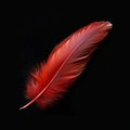 Photo Close up of striking red feather set against dramatic black backdrop