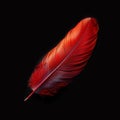 Photo Close up of striking red feather set against dramatic black backdrop