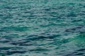 Photo closeup of beautiful clear turquoise sea ocean water surface with ripples low waves on seascape background Royalty Free Stock Photo