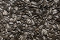 Photo of closeup texture of black sunflower seeds, background Royalty Free Stock Photo