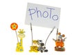 Photo clothespin frames Royalty Free Stock Photo