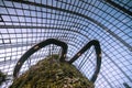 A photo of Cloud Forest, Singapore. Royalty Free Stock Photo