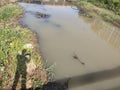 Photo of cloudy river water with shadows of people