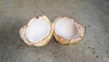 Photo of a coconut split in half Royalty Free Stock Photo