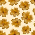 Photo collage background from flowers of yellow lilies. Seamless background for festive design. Royalty Free Stock Photo