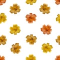 Photo collage background from flowers of yellow and orange lilies. Royalty Free Stock Photo