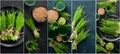 Photo collage, banner, The juice from the green sprouted wheat, and wheat grains. On a black background. Micro Green. Royalty Free Stock Photo