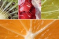 Photo collage citrus fruits