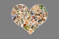 Photo collage in heart shape of beautiful cats