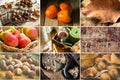 Photo collage nine square images, autumn, fall, hazelnuts, walnuts, persimmons, pears, chestnuts, apple pie, fruit tea, book, dry