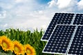 Photo collage of solar panels against the crops background