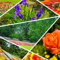 Photo collage of summer gardens, flower gardens and flowers