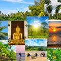 Photo collage of tropical landscapes located in mosaic. Concept - travel. Sri Lanka Royalty Free Stock Photo