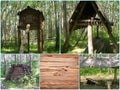 Photo collage of the village Tofalar in the pine forest. Tofalar - semi-nomadic people, whose main occupation is hunting