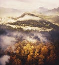 Photo Collage: Wilderness Landscape. Gold Leafy Trees, Green Hill with Coniferous Trees and Big Mountain.