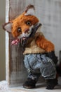 photo of a collectible cunning but kind handmade red fox Teddy, suitable for printing in a calendar card or for