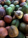 Photo of a collection of brown and green coconuts