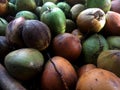 Photo of a collection of brown and green coconuts