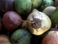 Photo of a collection of brown and green coconuts