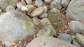 photo of a collection of small rocks on the edge of the river