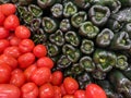 Red Tomatoes and Poblano Chilis