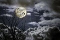 Full moon Royalty Free Stock Photo