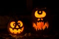 Photo composition from two pumpkins on Halloween. Royalty Free Stock Photo