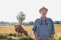 Confident Senior farmer standing against brown cow in field Royalty Free Stock Photo