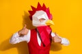 Photo of confident unusual guy raise thumb up wear cock mask red suit isolated yellow color background